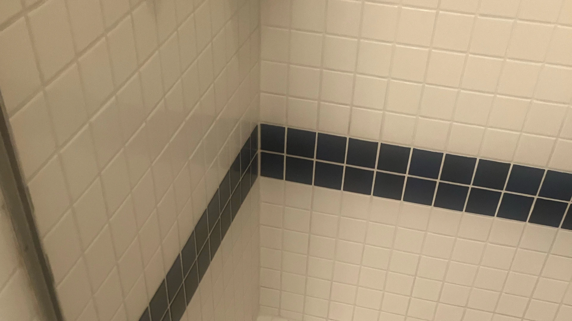 shower room tiles